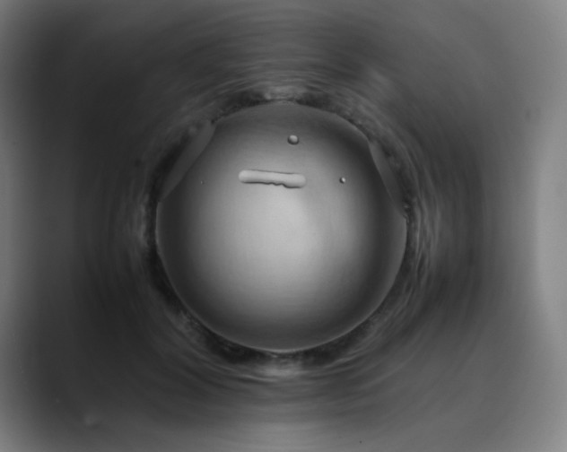 X0000090430604200707131202