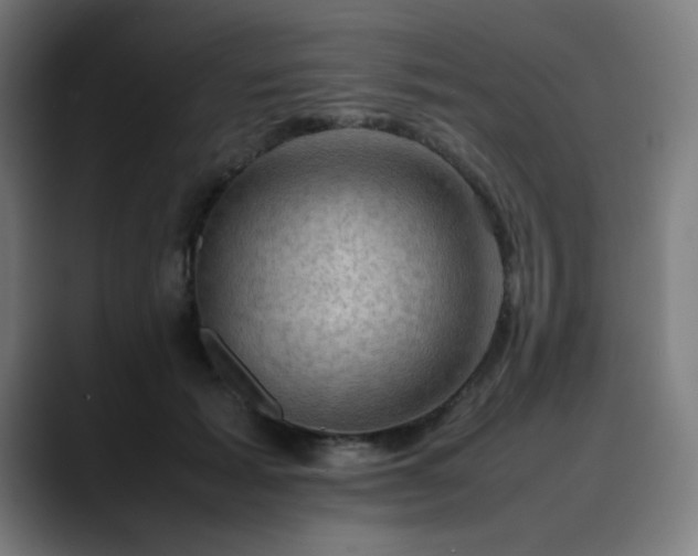 X0000090430605200707131202