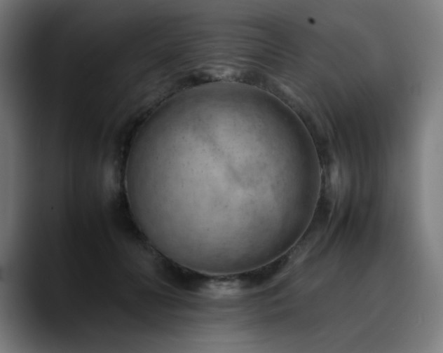 X0000090430606200707131202