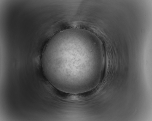 X0000090430611200707131202