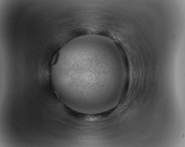 X0000090430613200707131202