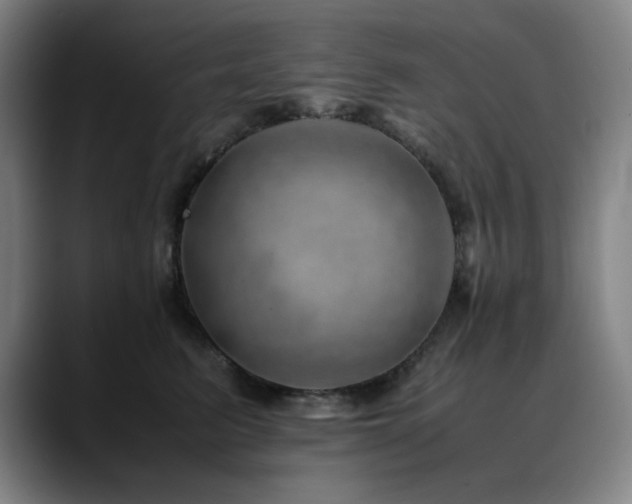 X0000090430615200707131202