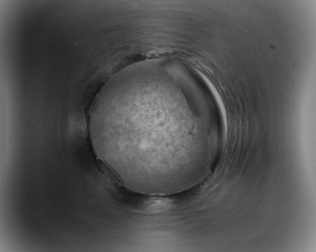X0000090430617200707131202