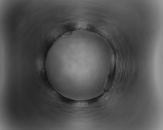 X0000090430619200707131202