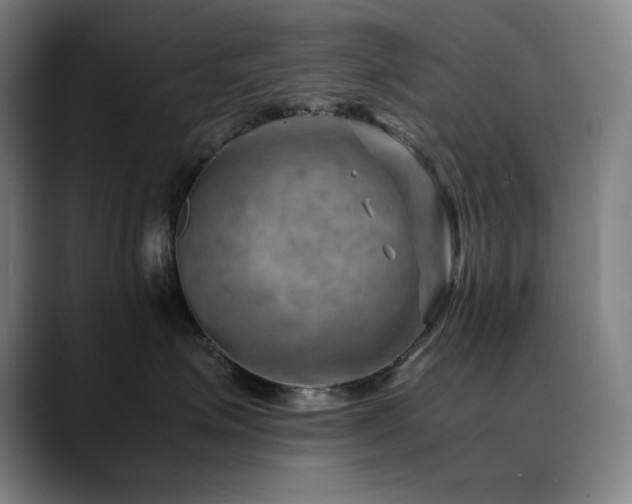 X0000090430623200707131202