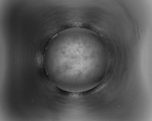 X0000090430624200707131202