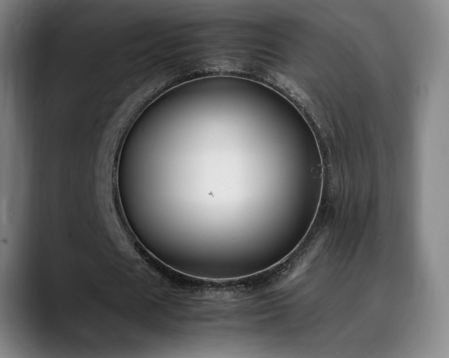 X0000090430625200707131202