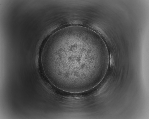X0000090430627200707131202