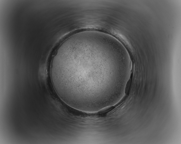 X0000090430628200707131202