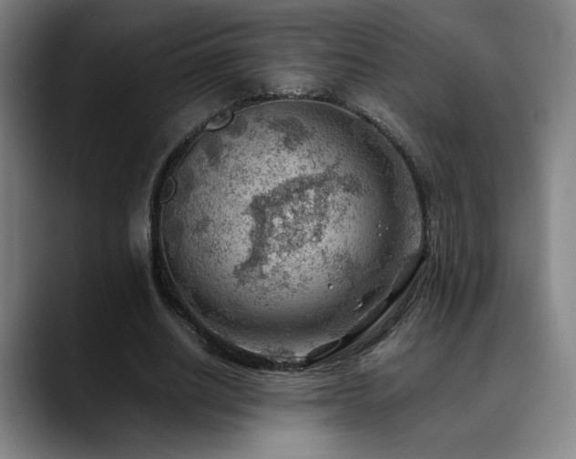 X0000090430630200707131202