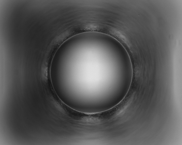 X0000090430633200707131202