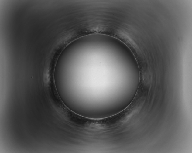 X0000090430635200707131202