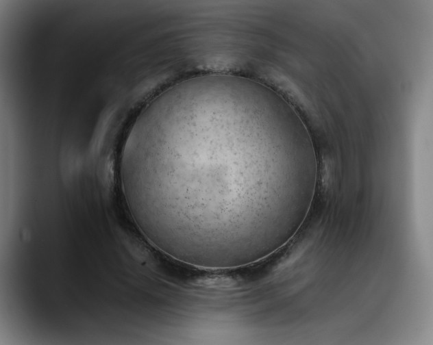 X0000090430636200707131202