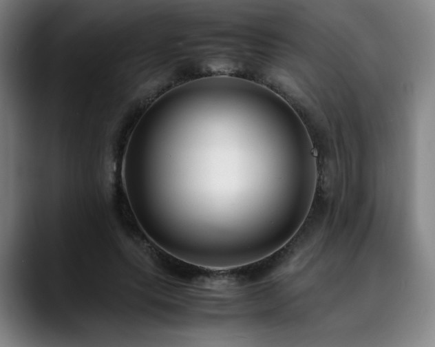 X0000090430639200707131202