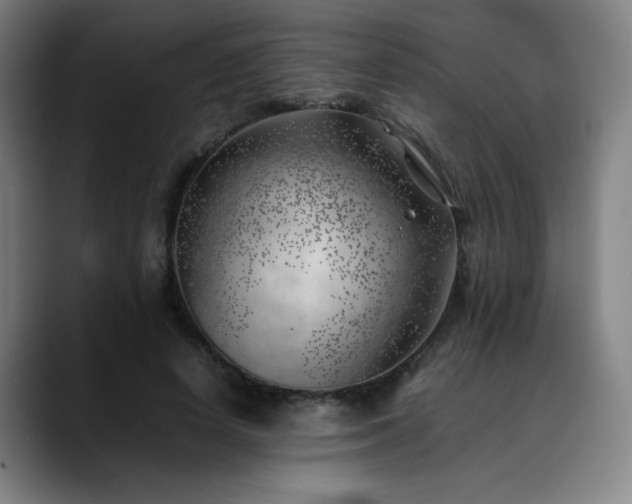X0000090430642200707131202