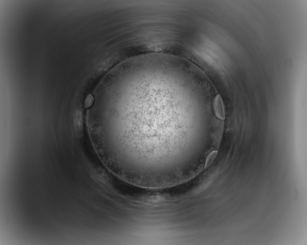 X0000090430646200707131202