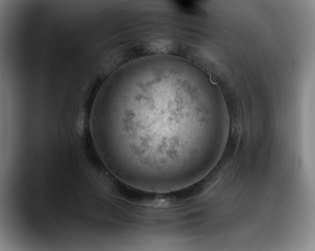 X0000090430647200707131202