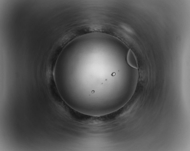 X0000090430648200707131202