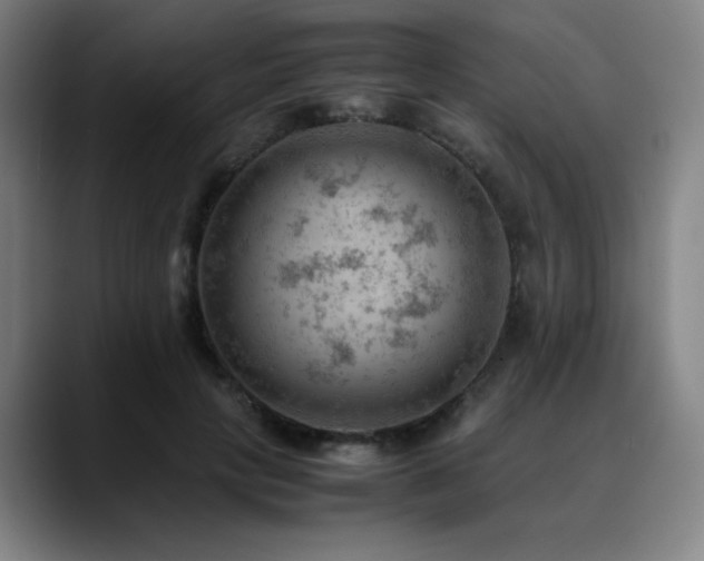X0000090430649200707131202