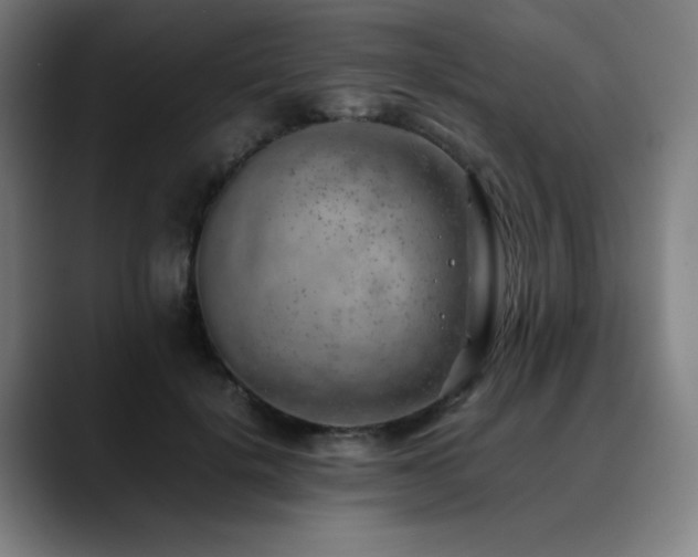 X0000090430652200707131202