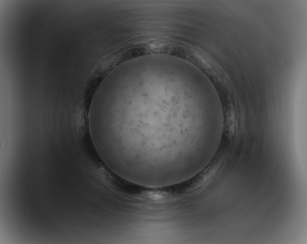 X0000090430654200707131202