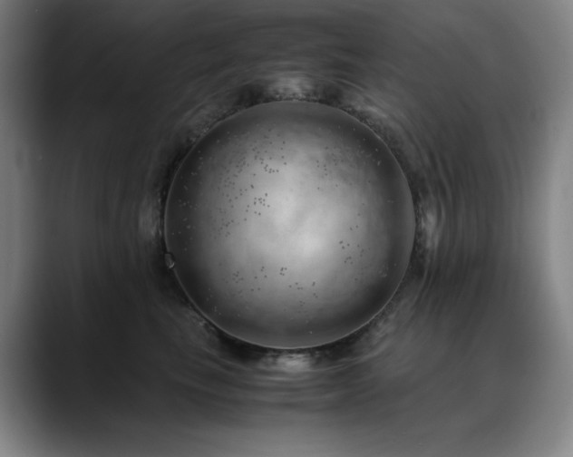 X0000090430665200707131202