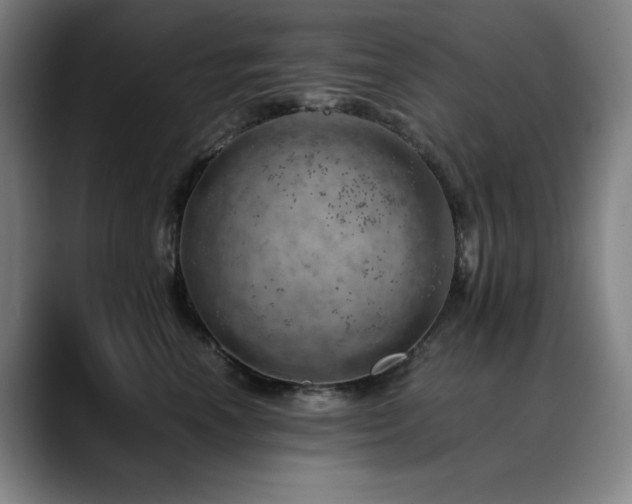 X0000090430666200707131202