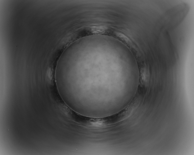 X0000090430667200707131202