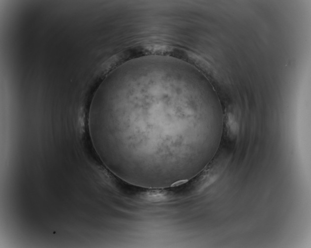 X0000090430668200707131202