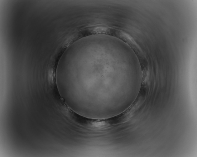 X0000090430669200707131202