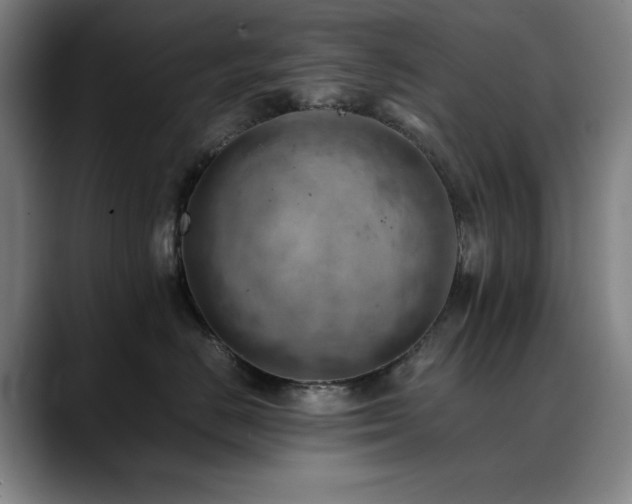 X0000090430670200707131202