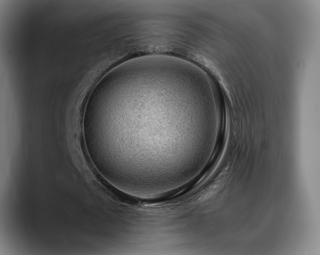 X0000090430673200707131202