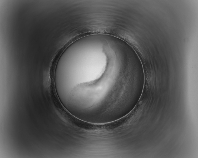 X0000090430674200707131202