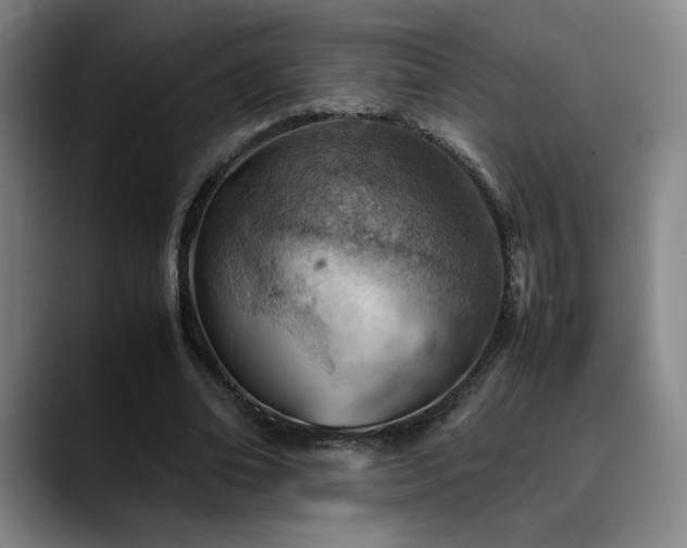 X0000090430678200707131202