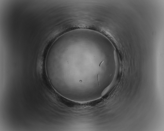 X0000090430679200707131201