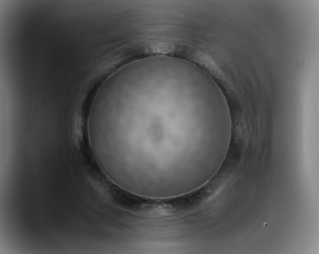 X0000090430683200707131201