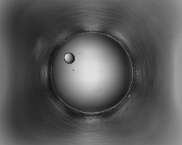 X0000090430686200707131201