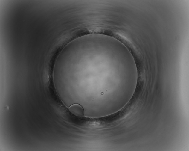 X0000090430687200707131201