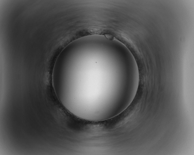 X0000090430689200707131201
