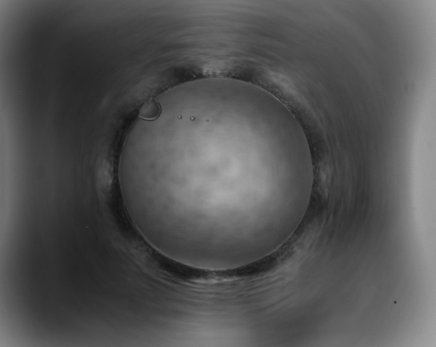 X0000090430691200707131201