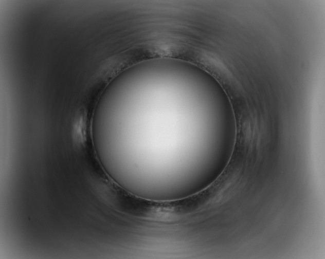 X0000090430694200707131201