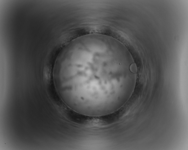 X0000090430695200707131201