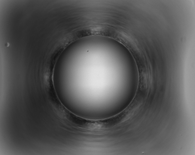 X0000090430698200707131201