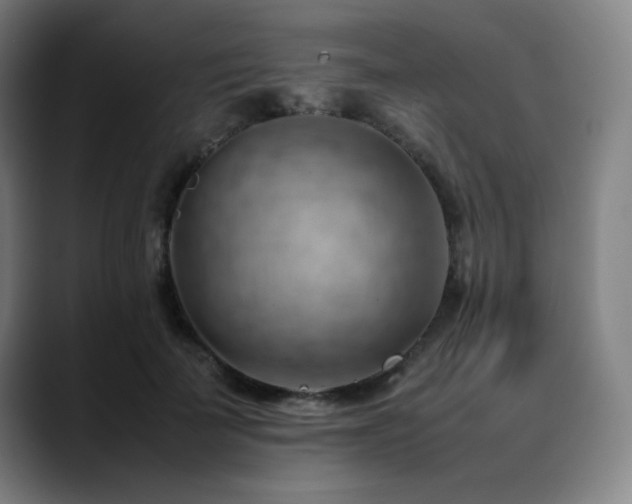 X0000090430699200707131201