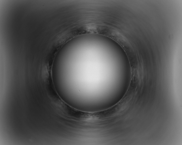 X0000090430702200707131201