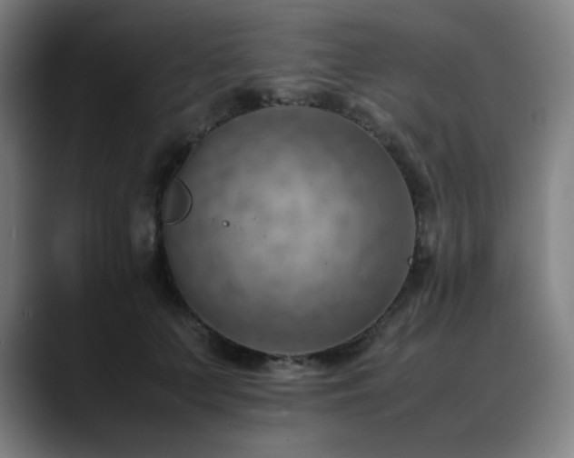X0000090430703200707131201
