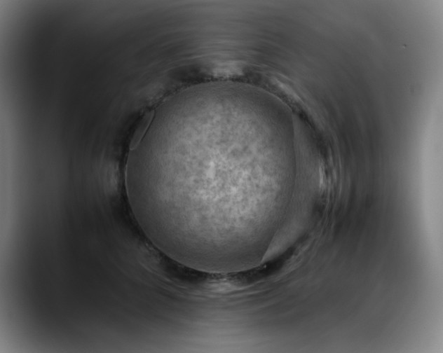 X0000090430704200707131201