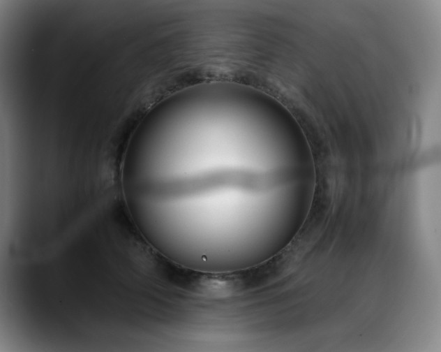 X0000090430706200707131201