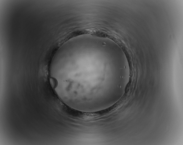 X0000090430707200707131201
