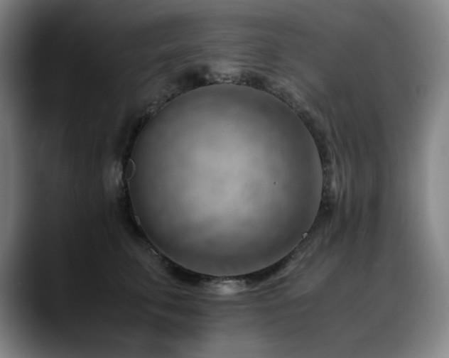 X0000090430711200707131201